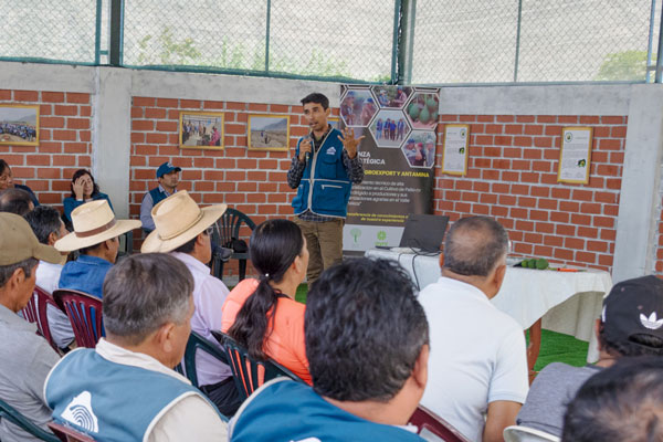 paltas-exportacion-antamina002